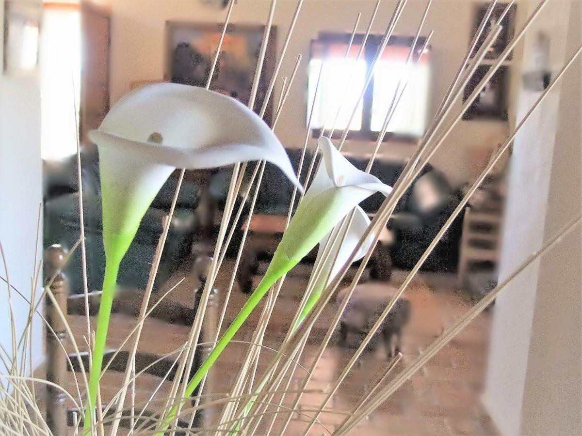 Villa Maria 耶克拉 外观 照片